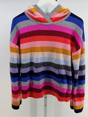 GAP Multicolor Crazy Stripe Hooded Sweater